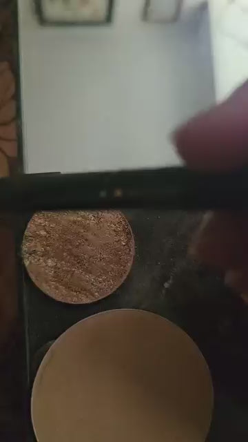 Makeup brush collection