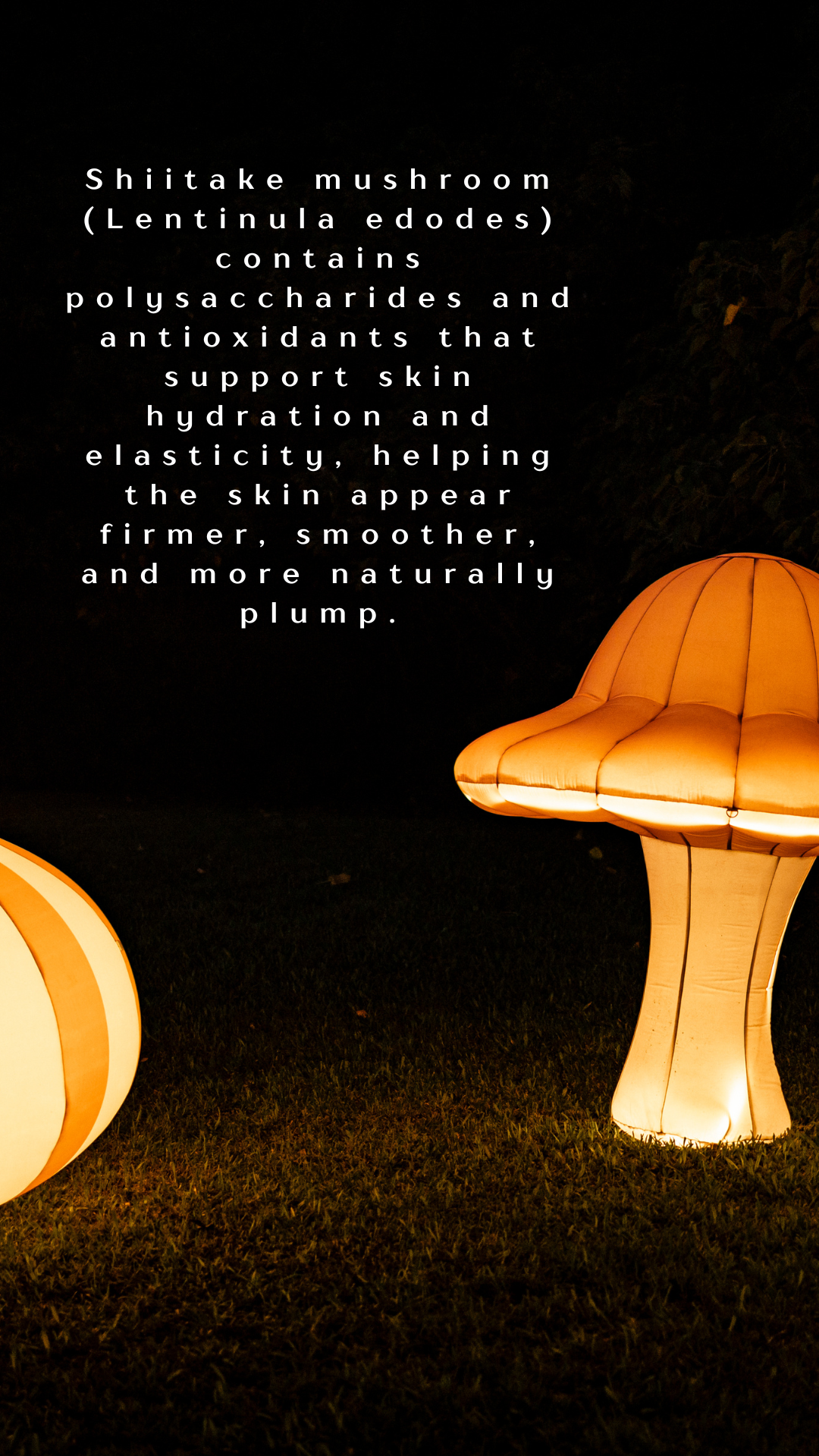 MAGIC MUSHROOM OVERNIGHT PLUMPER