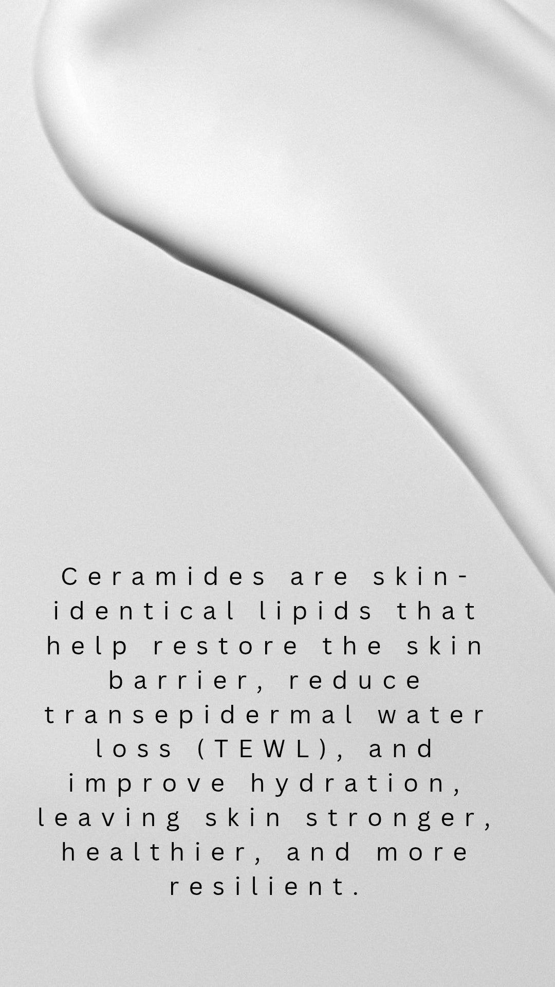THE MOISTURISER