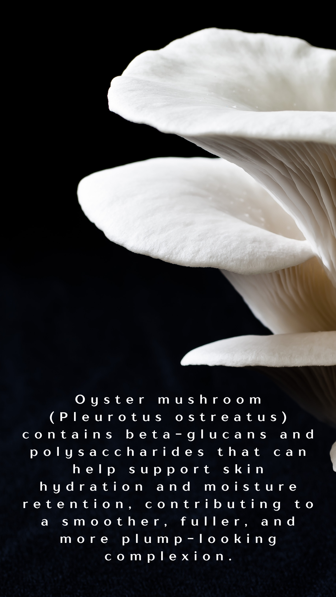MAGIC MUSHROOM OVERNIGHT PLUMPER