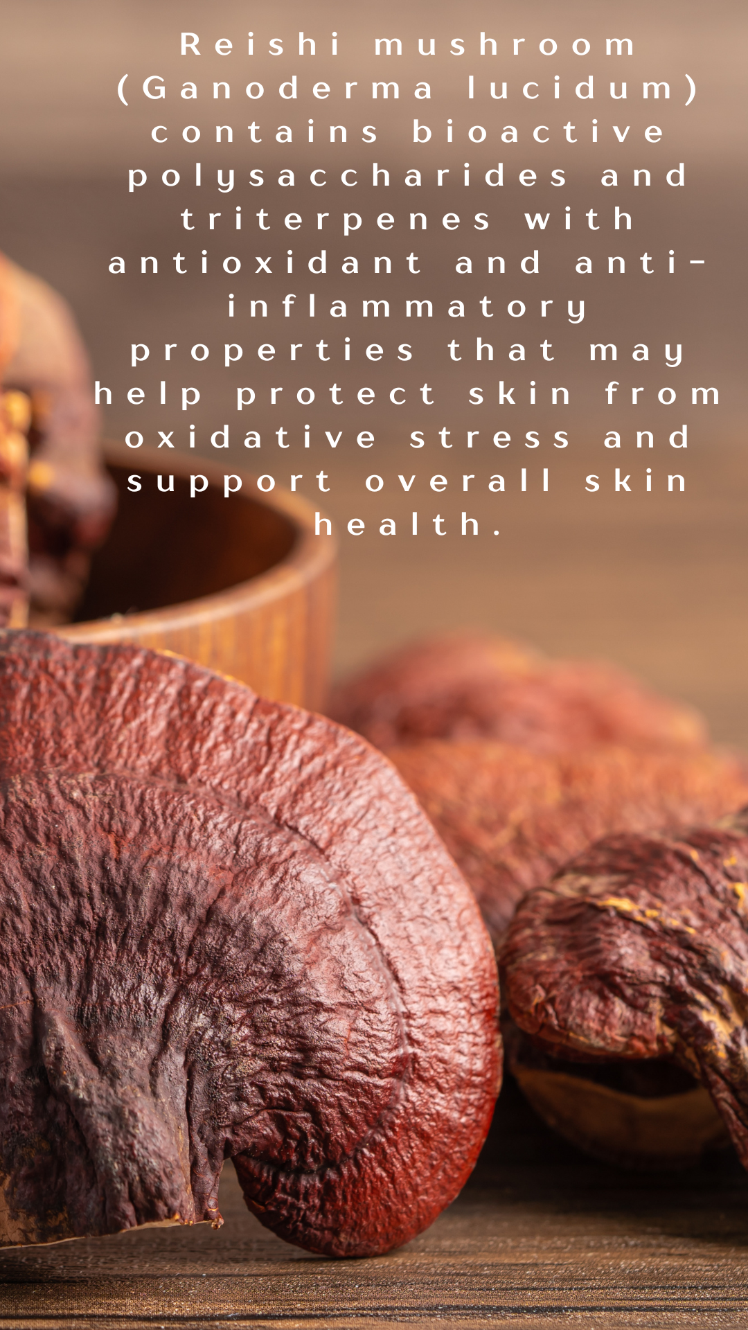 MAGIC MUSHROOM OVERNIGHT PLUMPER